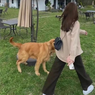 爱的引擎
